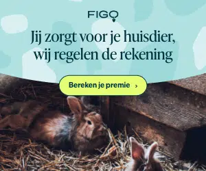 Figo Pet premium