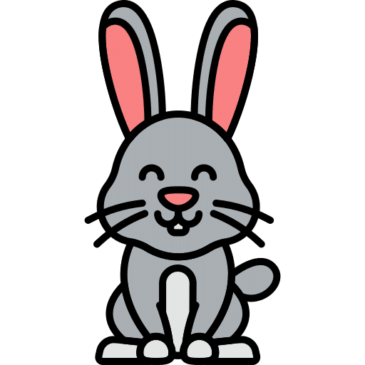 Rabbit articles