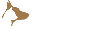Pet Insurance Netherlands